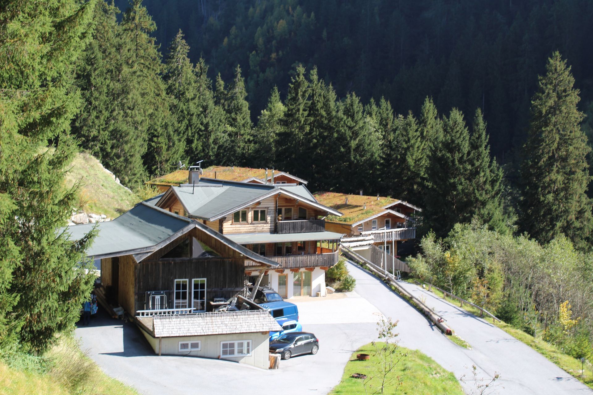 Eine rustikale Berghütte mit grünen Dächern liegt eingebettet in einem Wald an einer kurvenreichen Asphaltstraße.