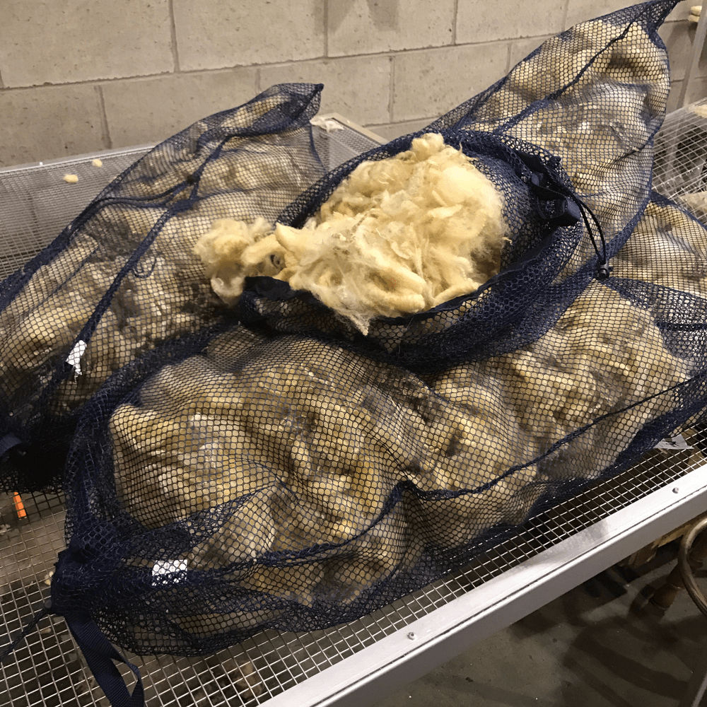 Yarn Kamloops, B.C. 2503190445