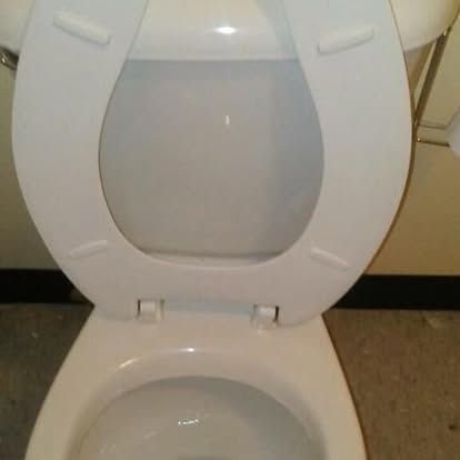 clean toilet seat 