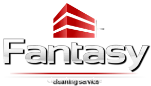 Fantasy Cleaning Services logo 