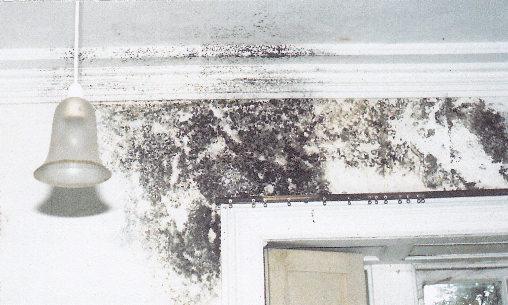 Condensation and mould