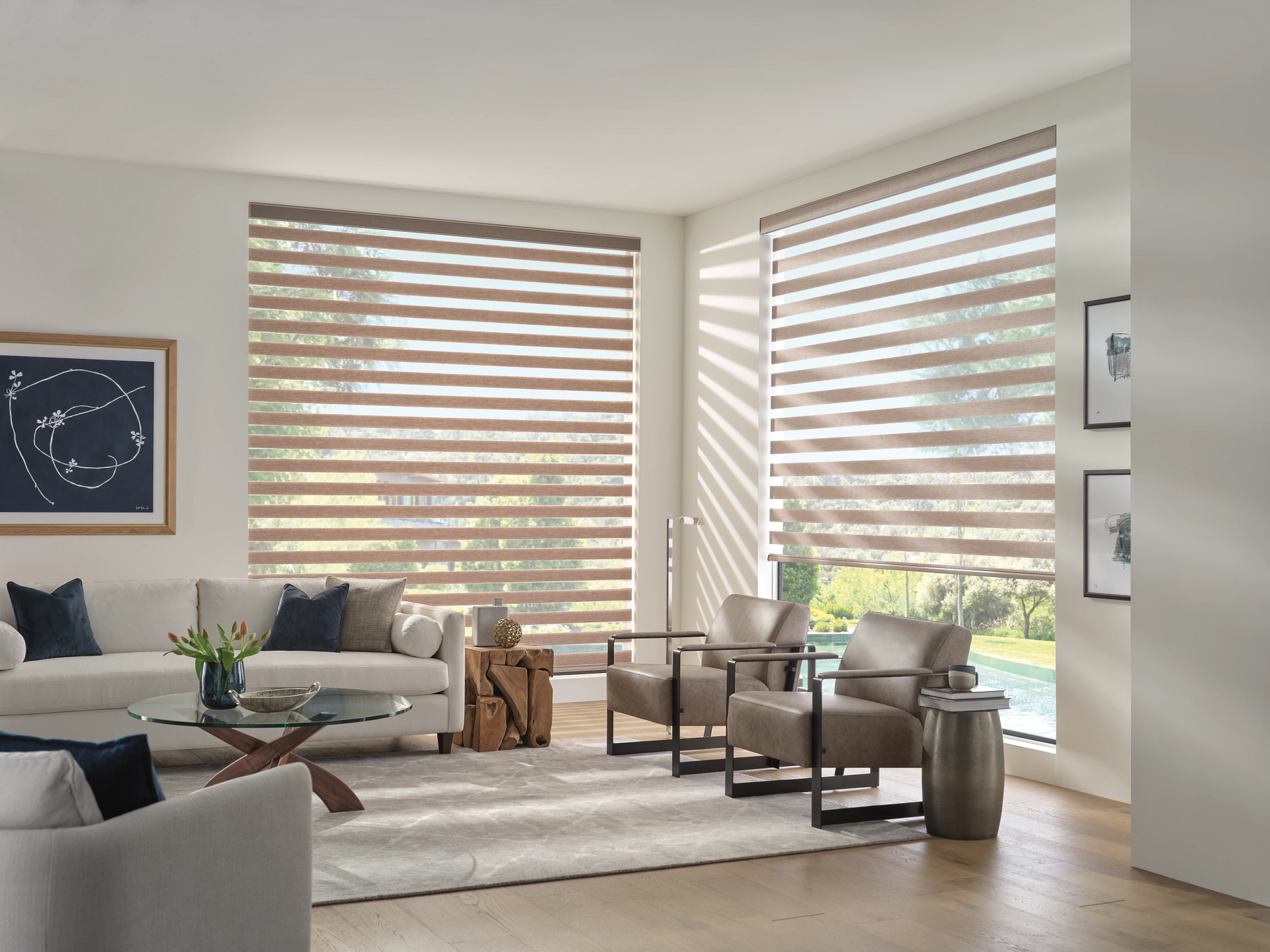 Hunter Douglas Designer Banded Shades