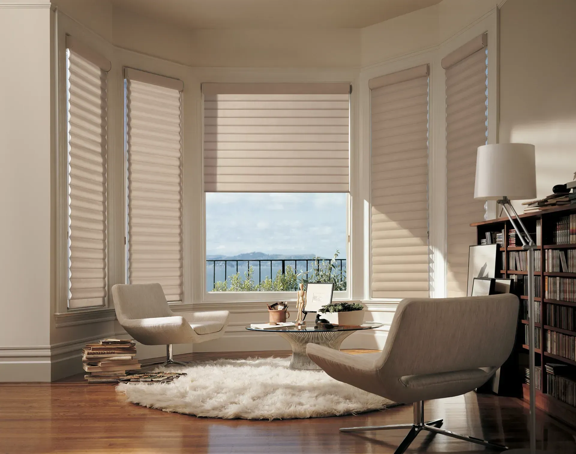Hunter Douglas Pirouette® Sheer Shades