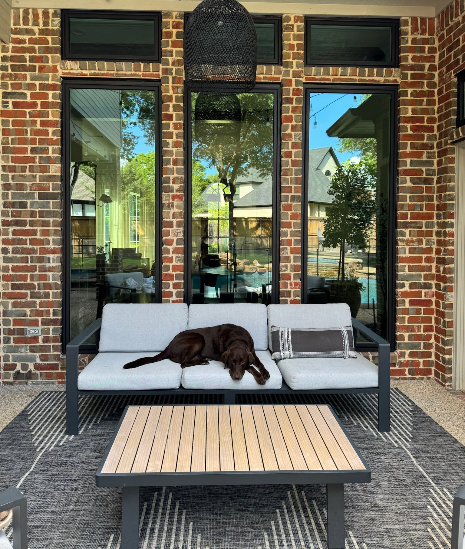 Dog laying in front of new energy efficient windows