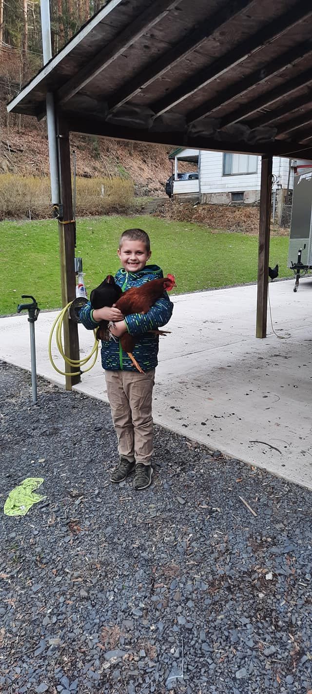 On of my son that absolutely love  chickens and my favorite helpers