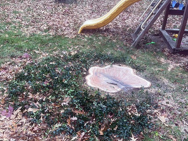 A tree stump in the middle of a playground next to a slide.
