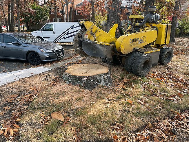 A stump grinder is cutting a tree stump in a yard.