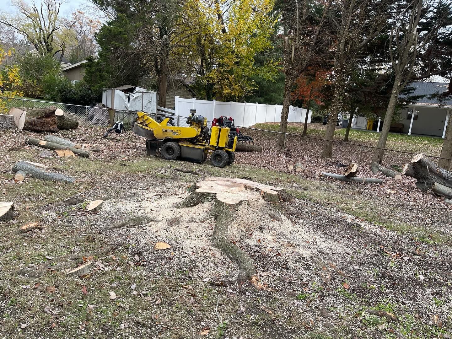 A yellow stump grinder is cutting a tree stump in a yard.