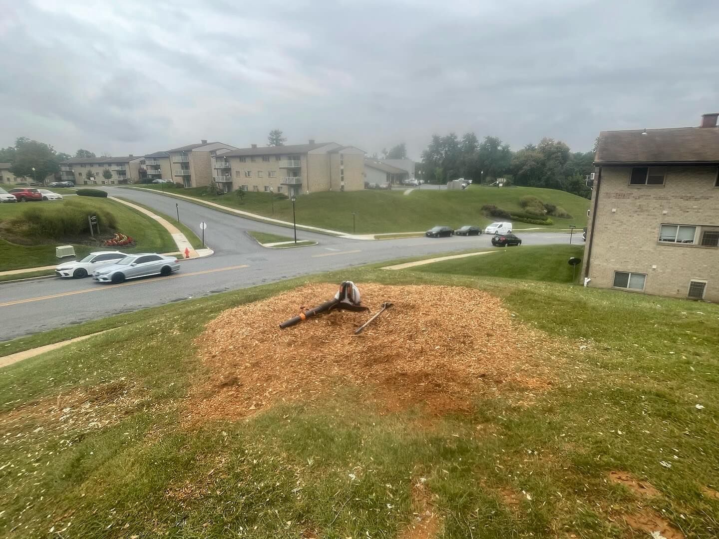 A tree stump is sitting on top of a grassy hill next to a road.
