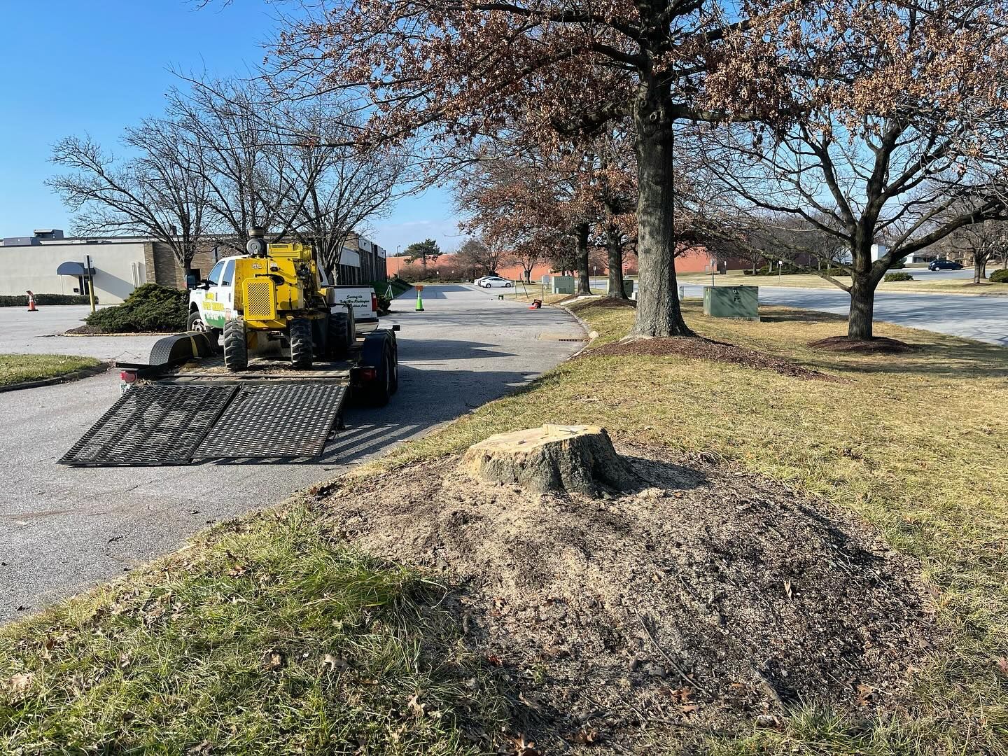 A stump grinder is being used to remove a tree stump.