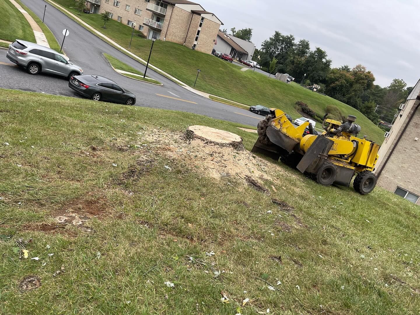 A stump grinder is cutting a tree stump in the grass.