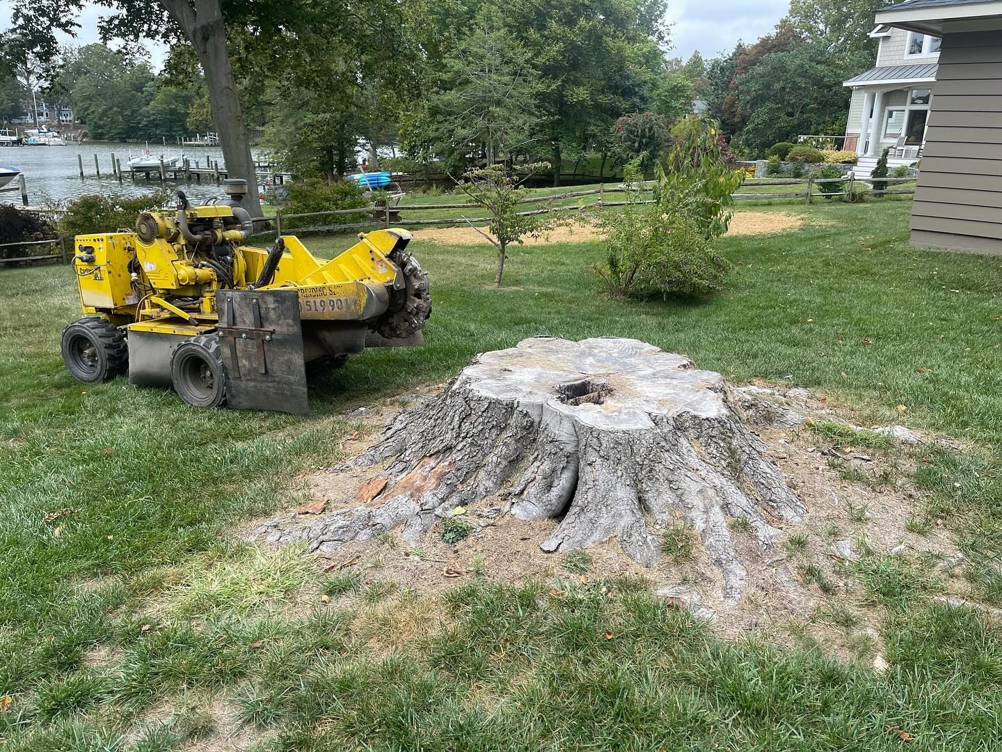A yellow stump grinder is sitting next to a tree stump in a yard.