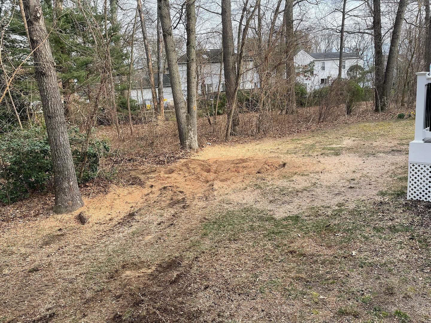 A stump in the middle of a yard with trees in the background.