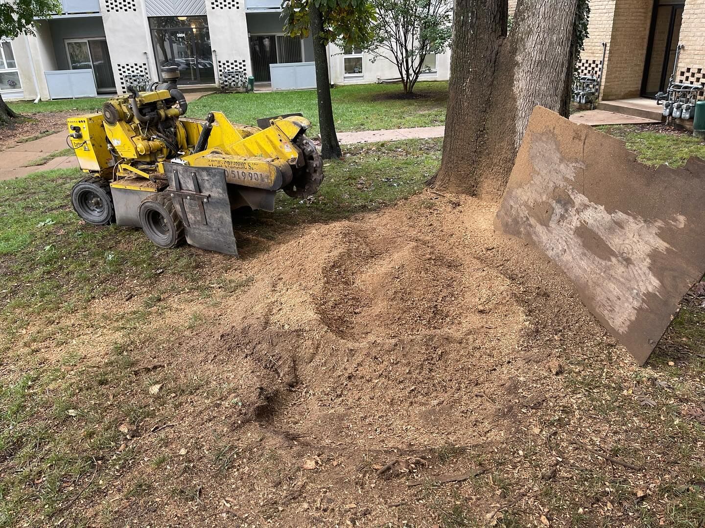 A yellow stump grinder is sitting in the grass next to a tree stump.