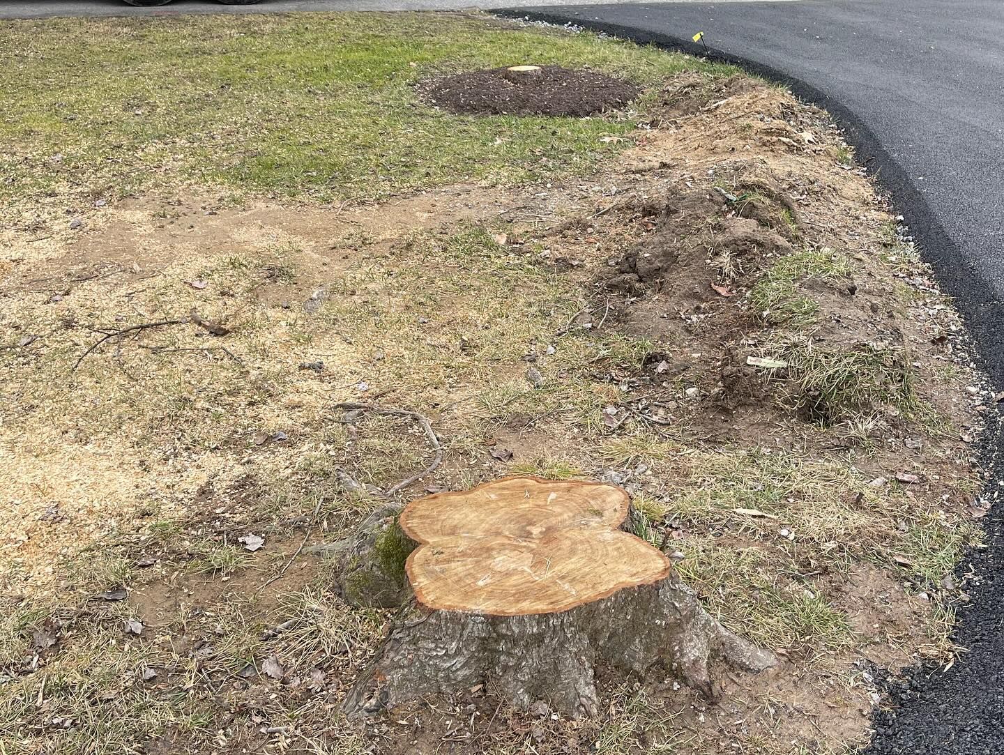 A tree stump is sitting in the middle of a grassy field.