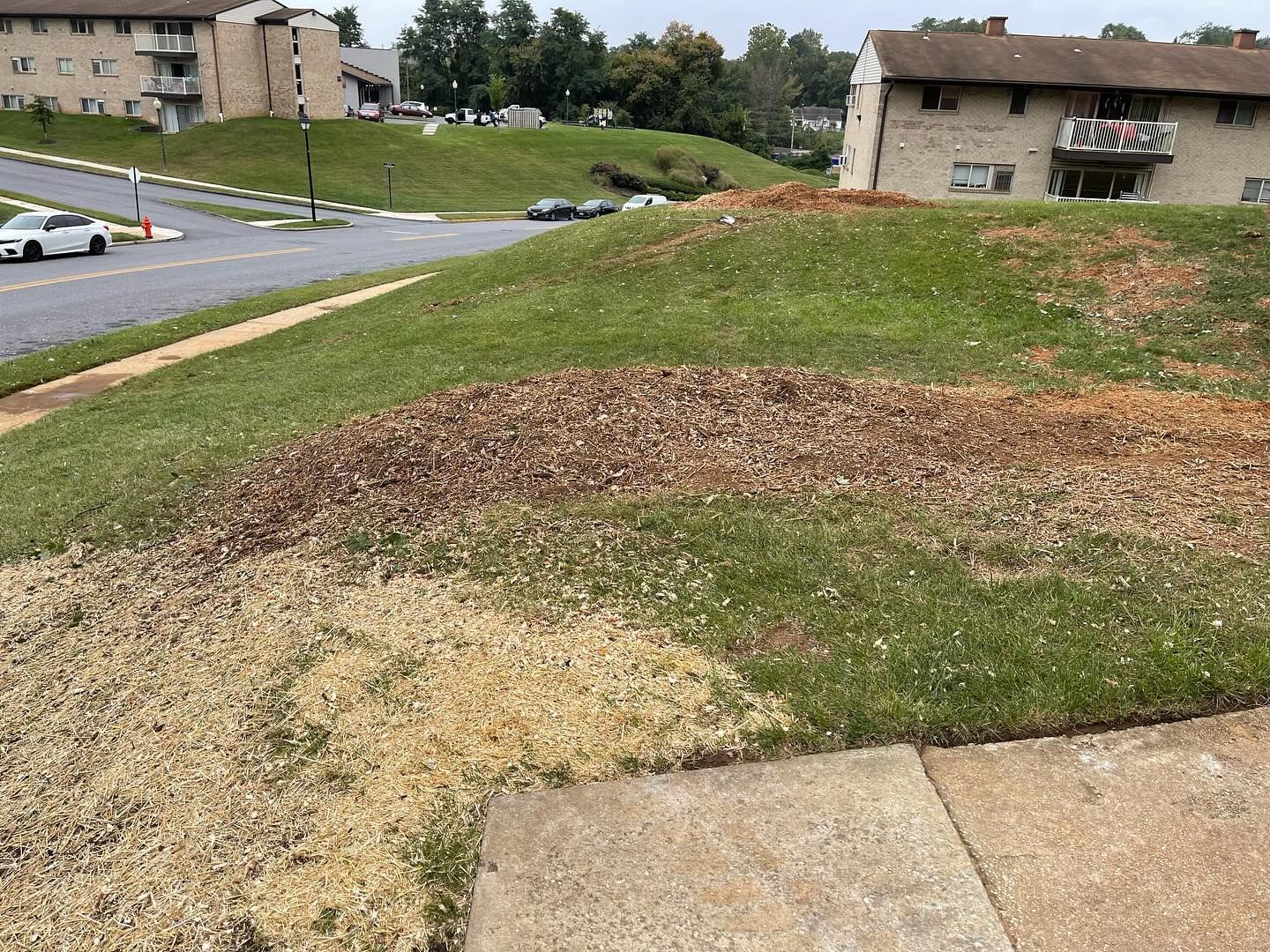 A concrete sidewalk leading to a grassy hill with a building in the background.