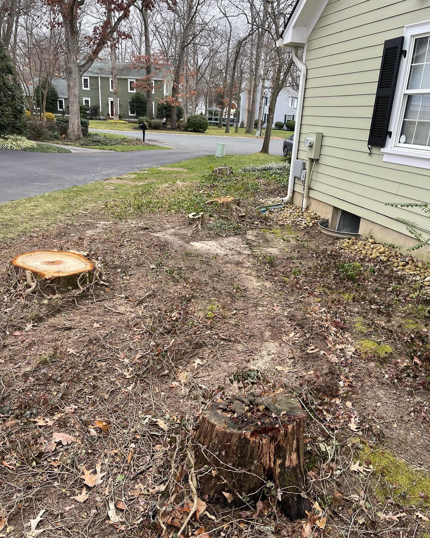 A tree stump is sitting in front of a house.