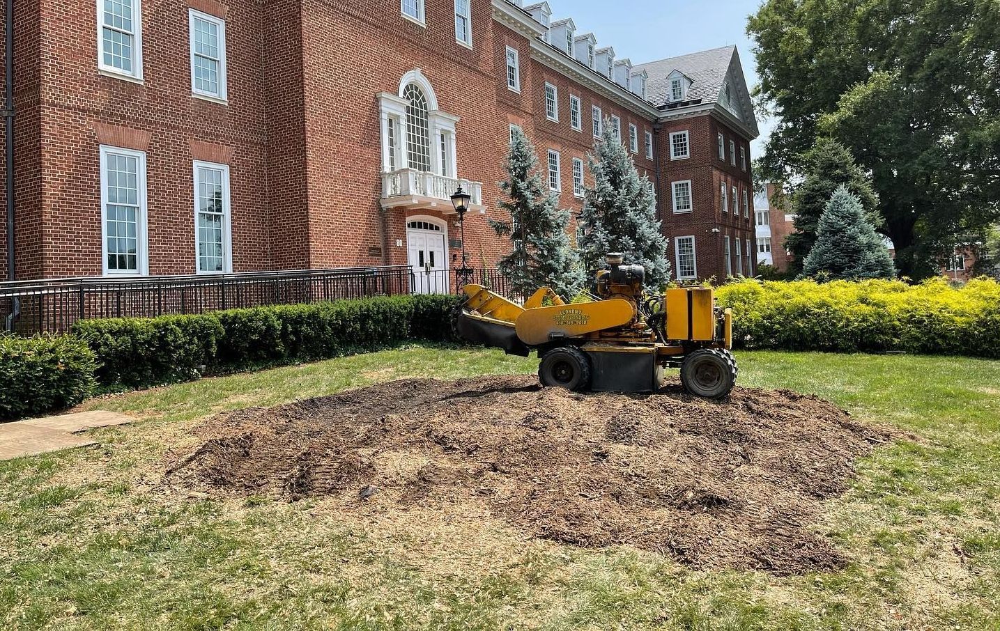 A stump grinder removing a tree stump on a grassy lawn in front of a brick building.
