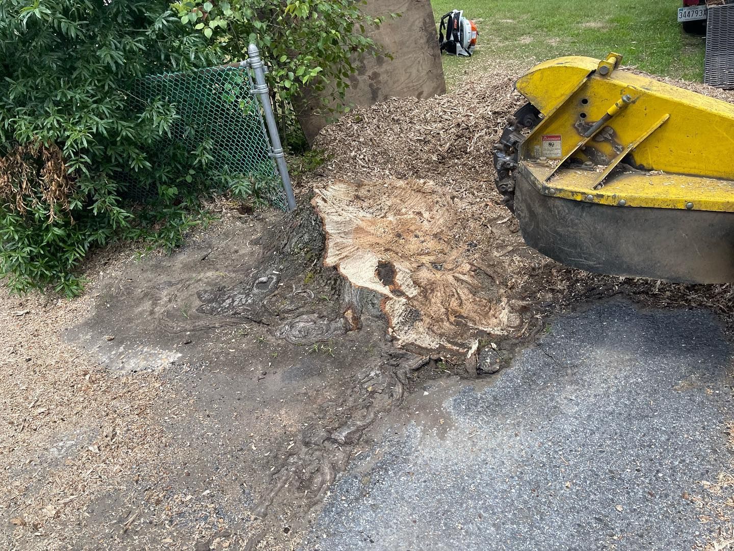 A large tree stump is being removed by a yellow stump grinder.