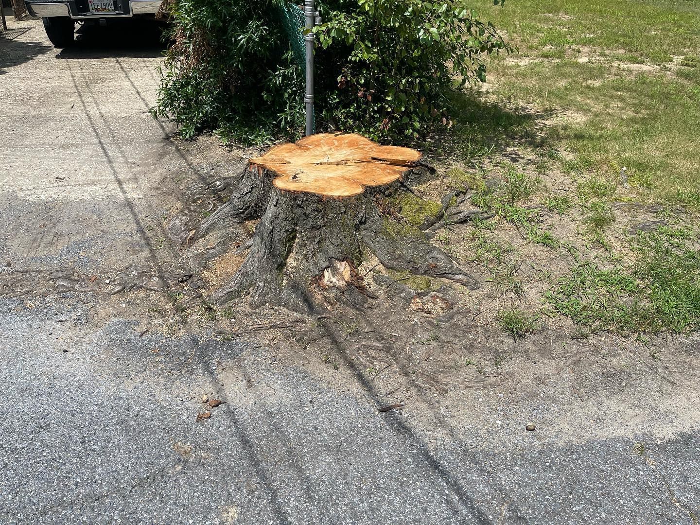A tree stump is sitting on the side of a road.