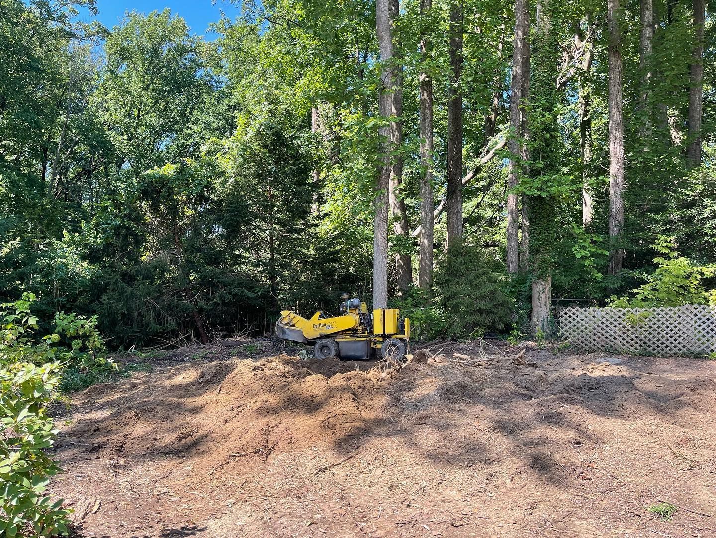 A yellow tractor is sitting in the middle of a forest.