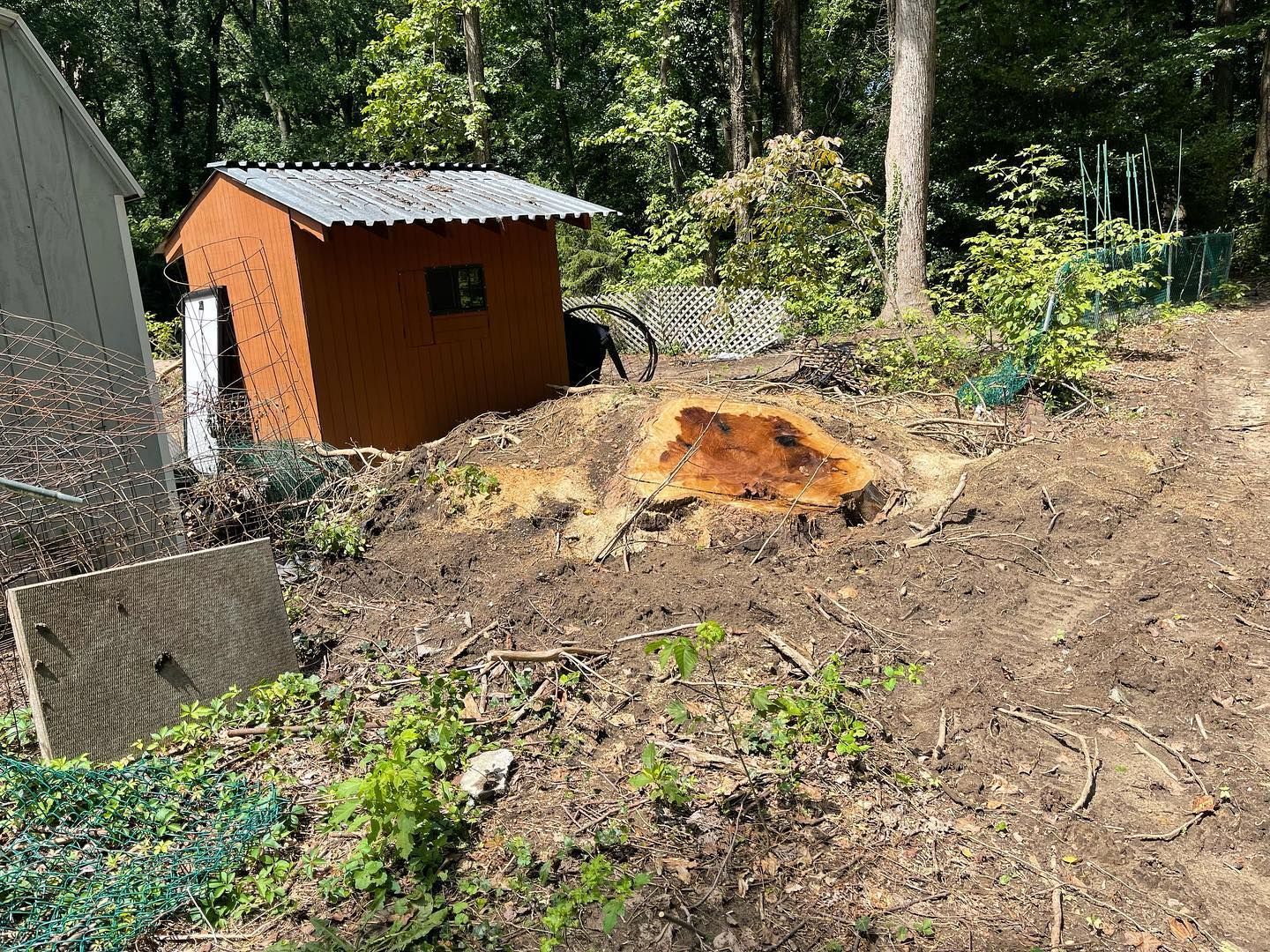 A small shed is sitting on top of a dirt hill next to a tree stump.