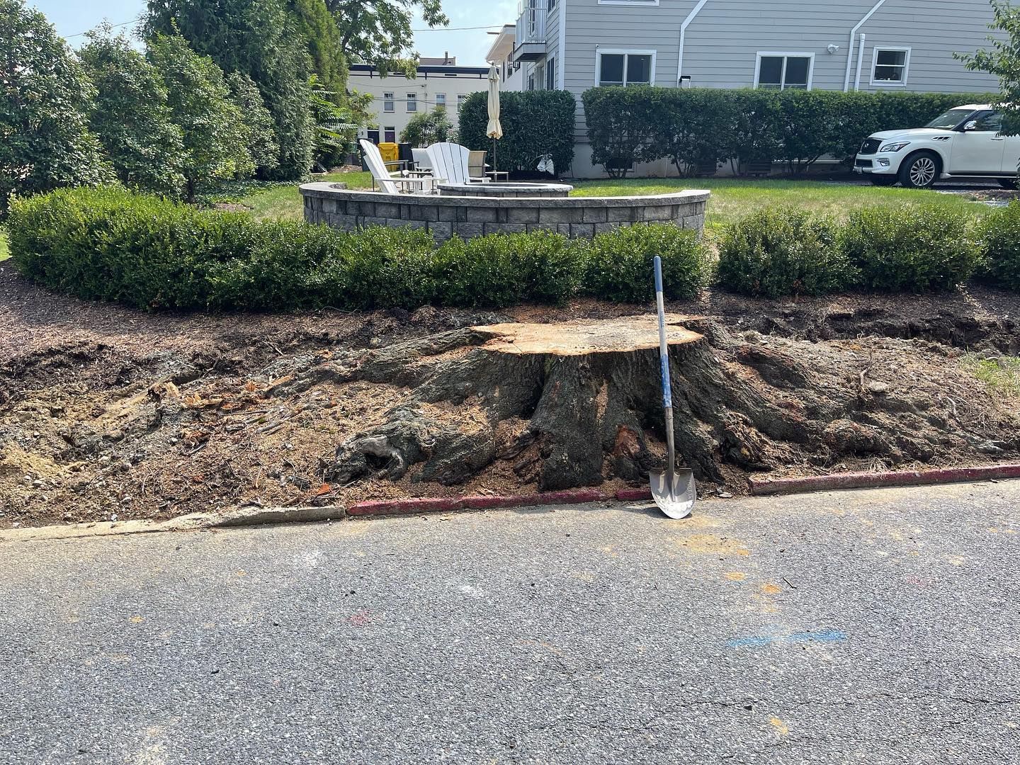 A tree stump is sitting on the side of the road next to a house.