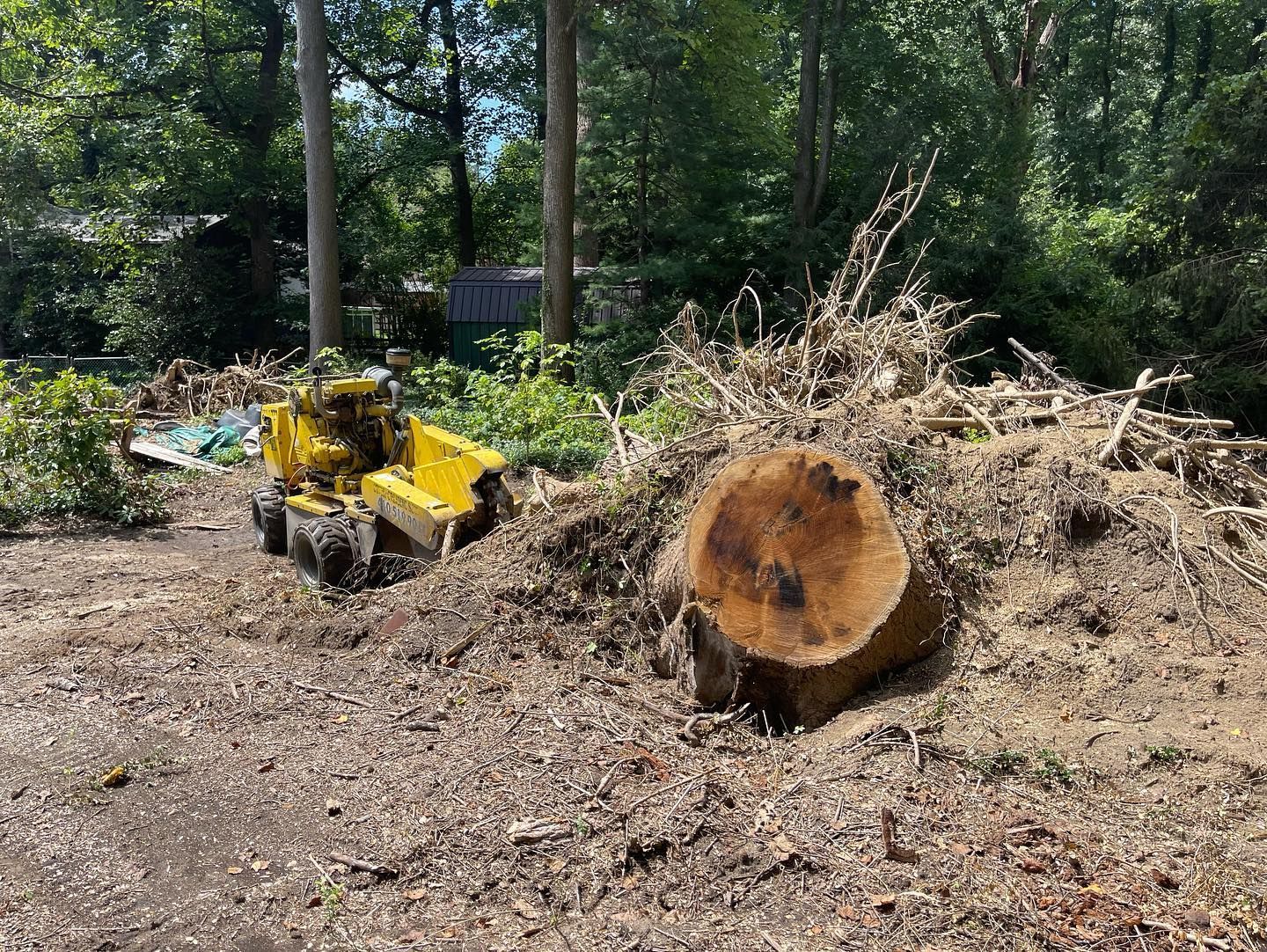 A large tree stump is sitting on top of a pile of dirt.