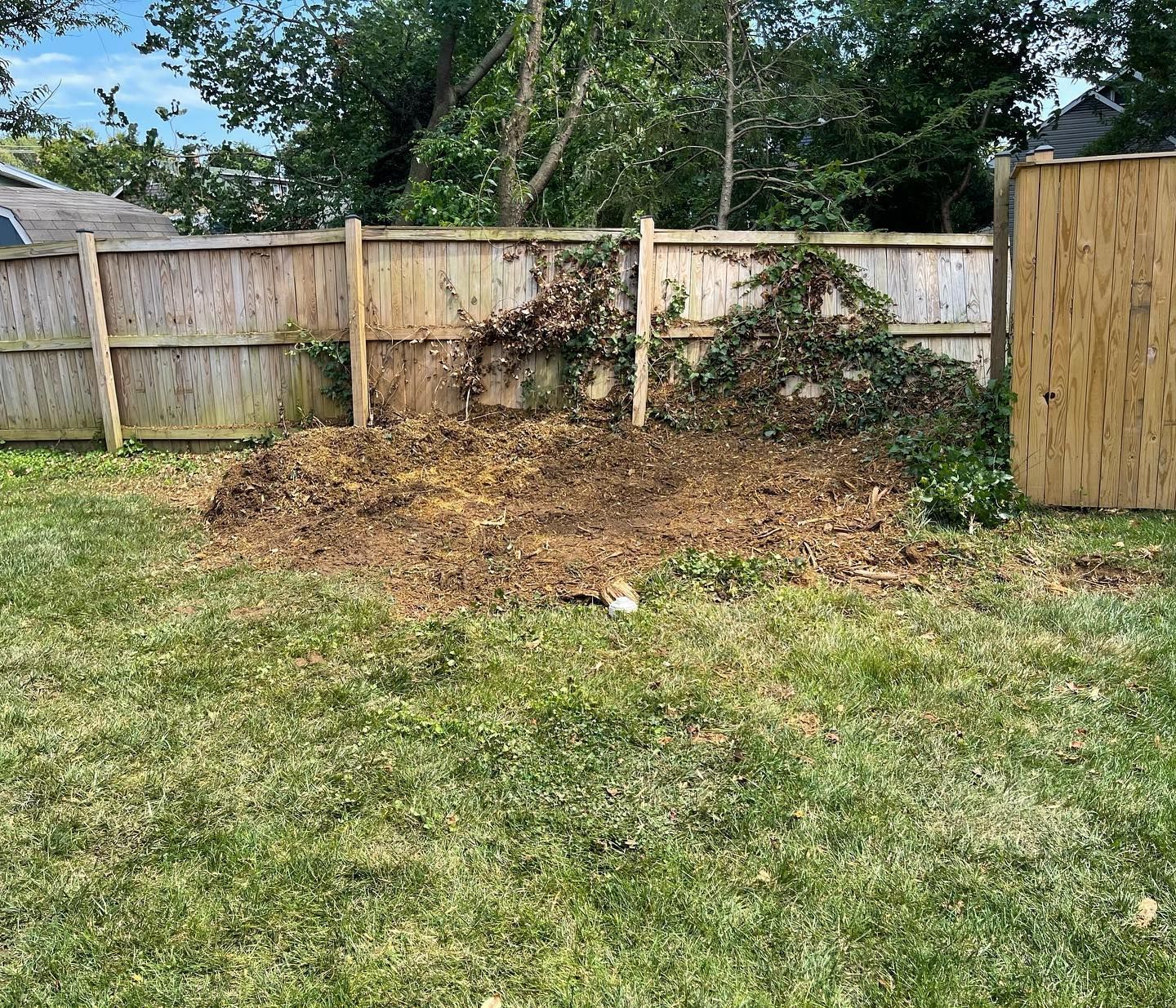 A pile of leaves is sitting in the grass in front of a wooden fence.