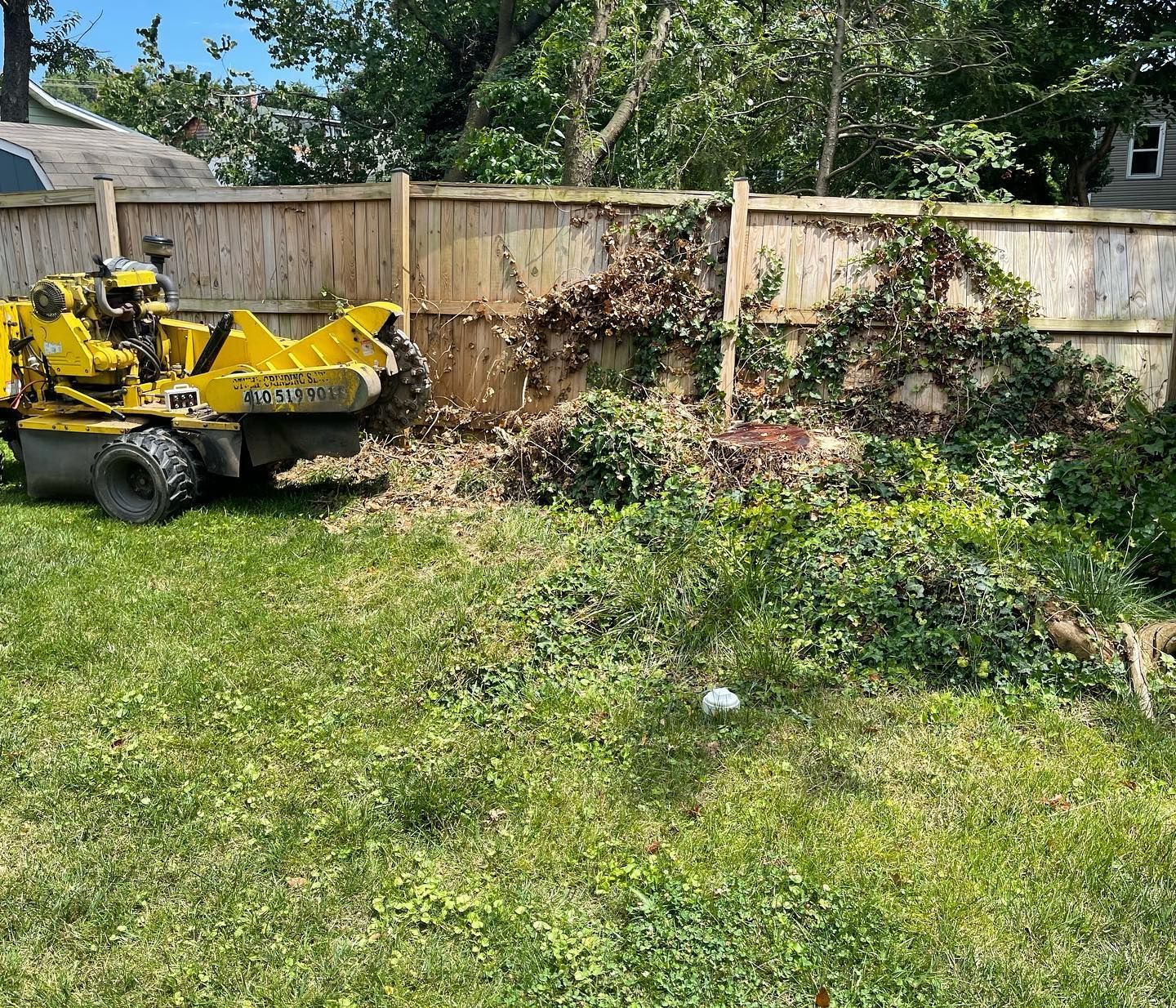 A yellow stump grinder is sitting in the grass in front of a wooden fence.