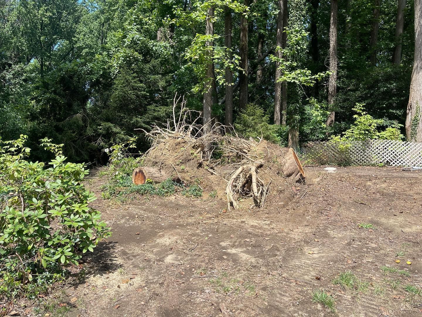 There is a pile of dirt in the middle of the woods.