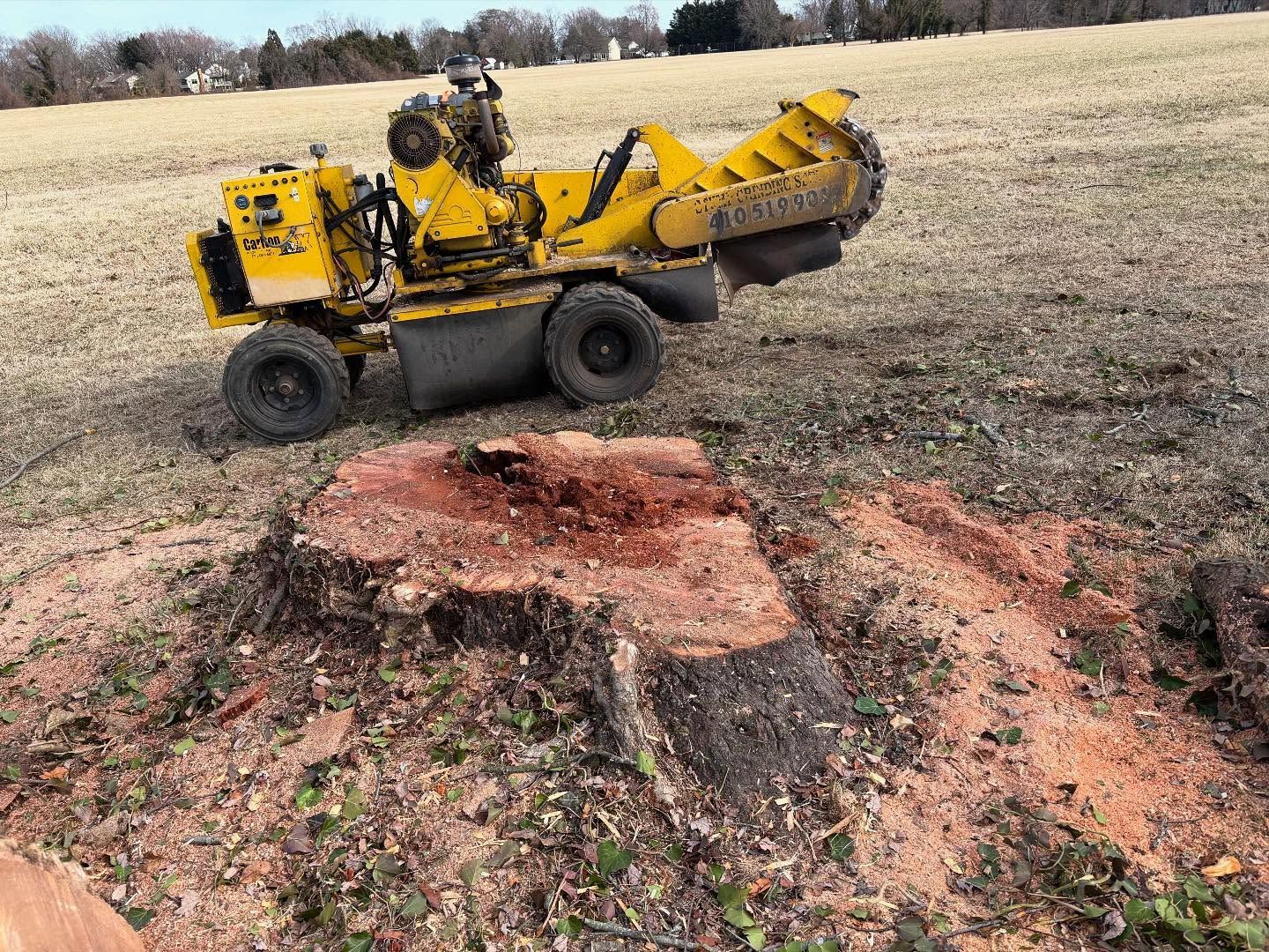 A yellow stump grinder is cutting a tree stump in a field.