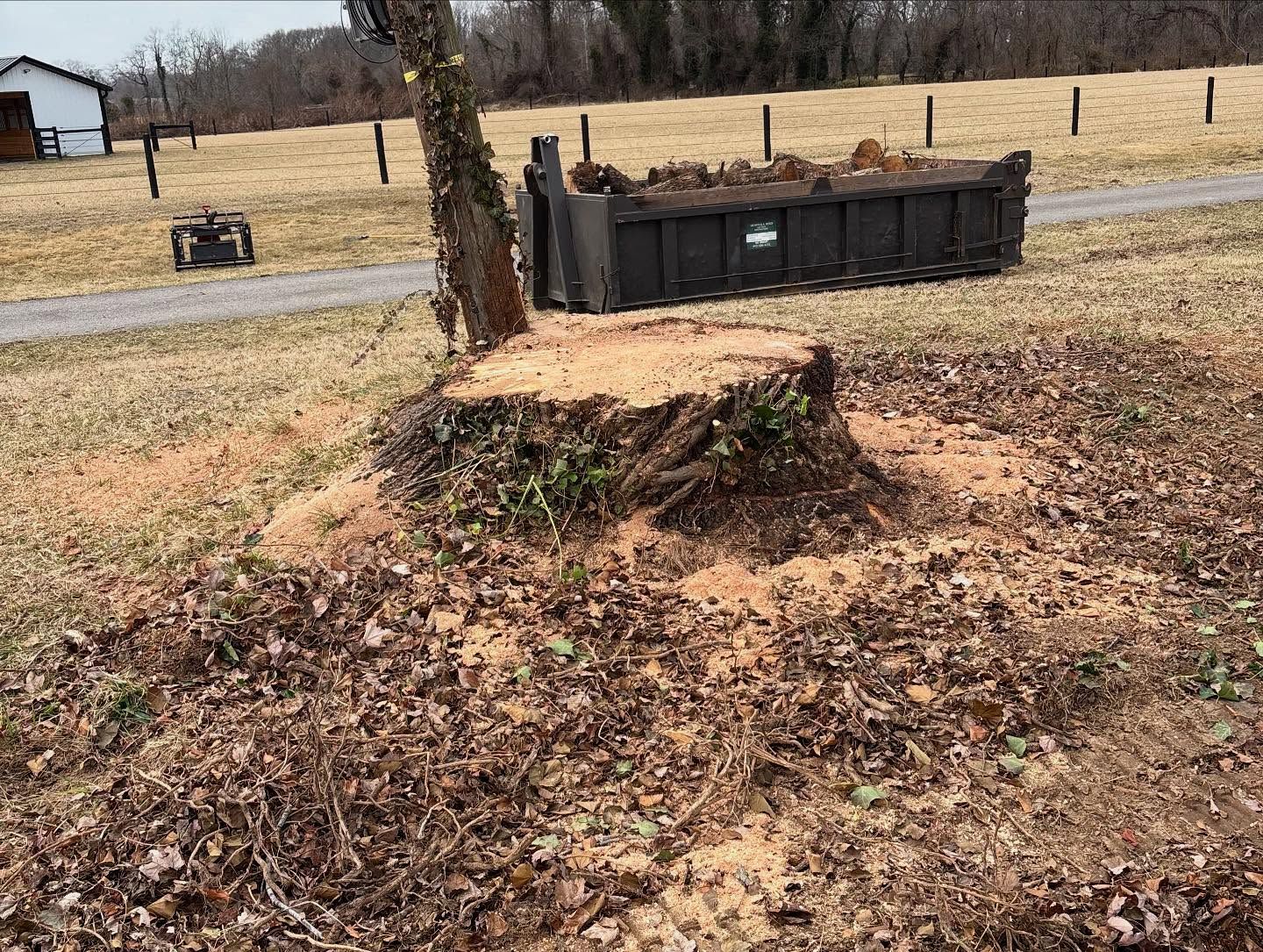 A tree stump is sitting in the middle of a field next to a dumpster.