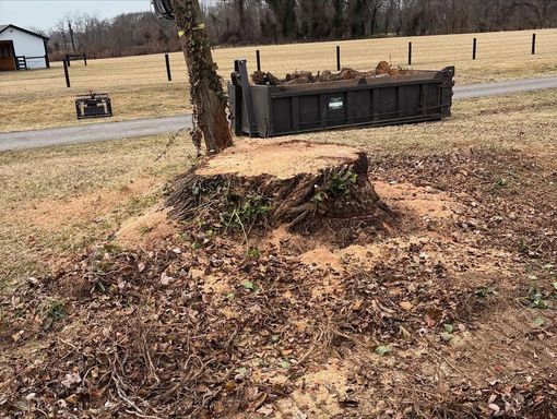 A tree stump is sitting in the middle of a field next to a dumpster.