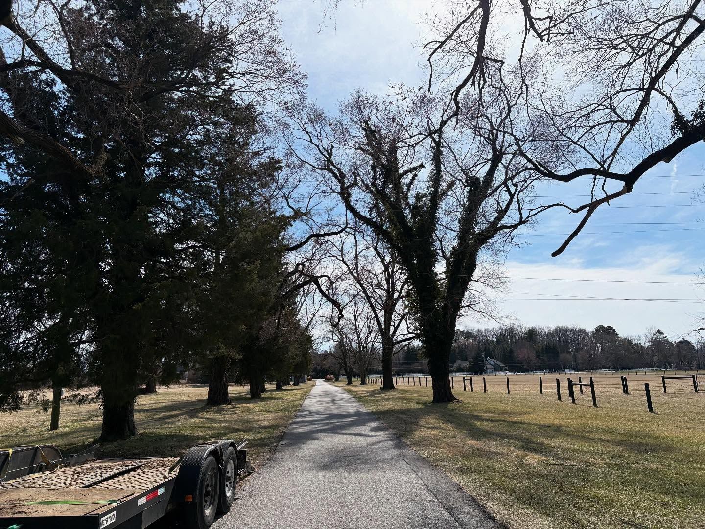 A trailer is parked on the side of a road surrounded by trees.
