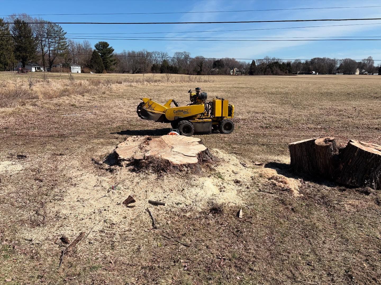 A yellow stump grinder is cutting a tree stump in a field.