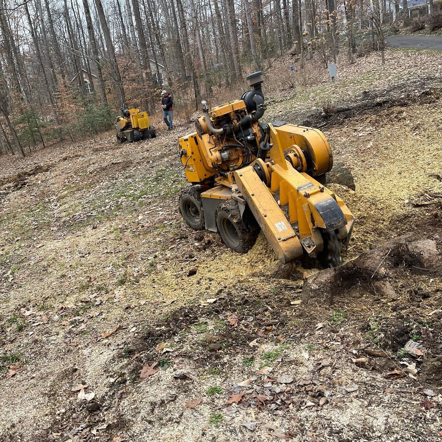 A stump grinder is cutting a tree stump in the woods.