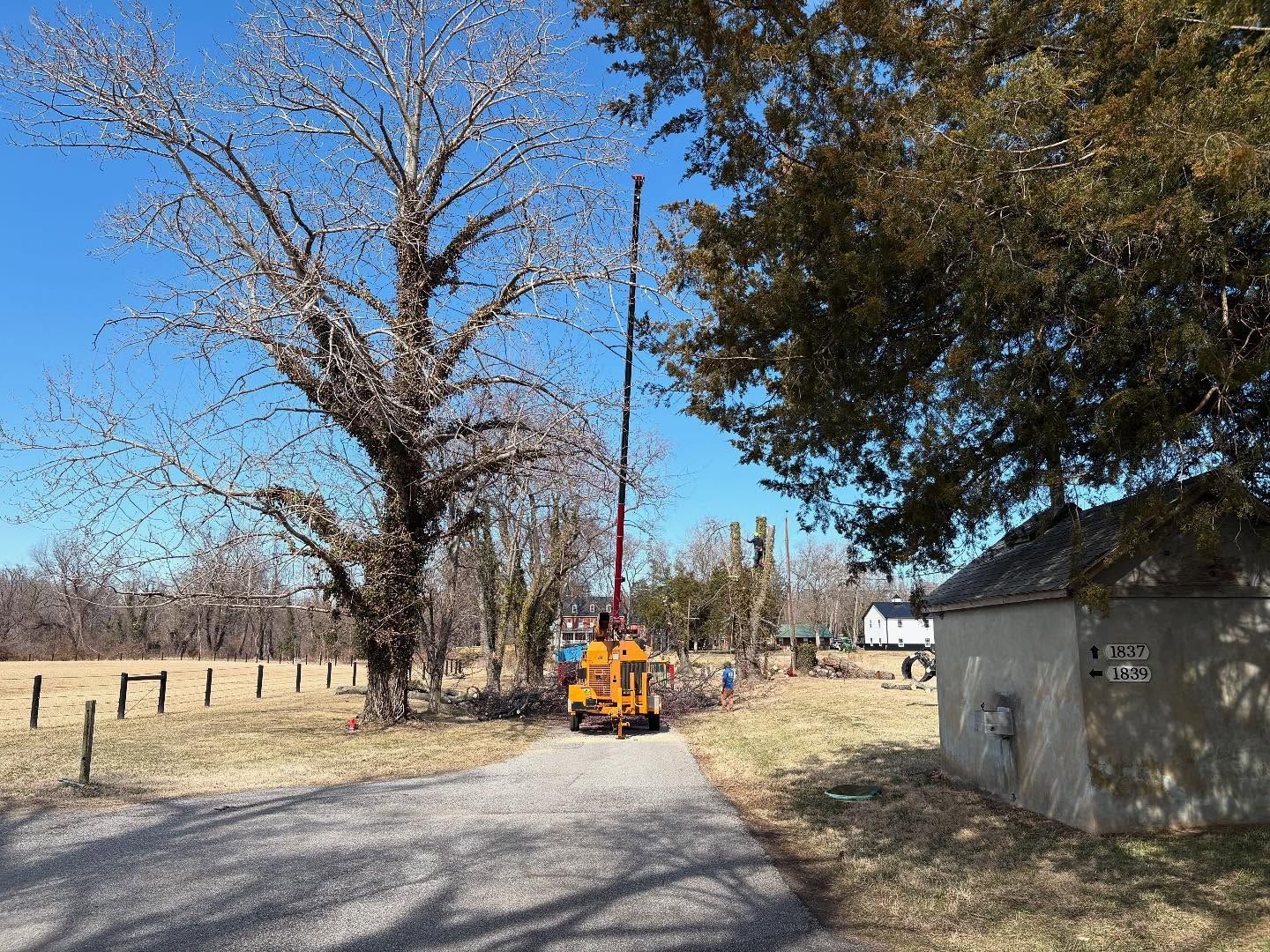 A yellow truck is driving down a dirt road next to a tree.
