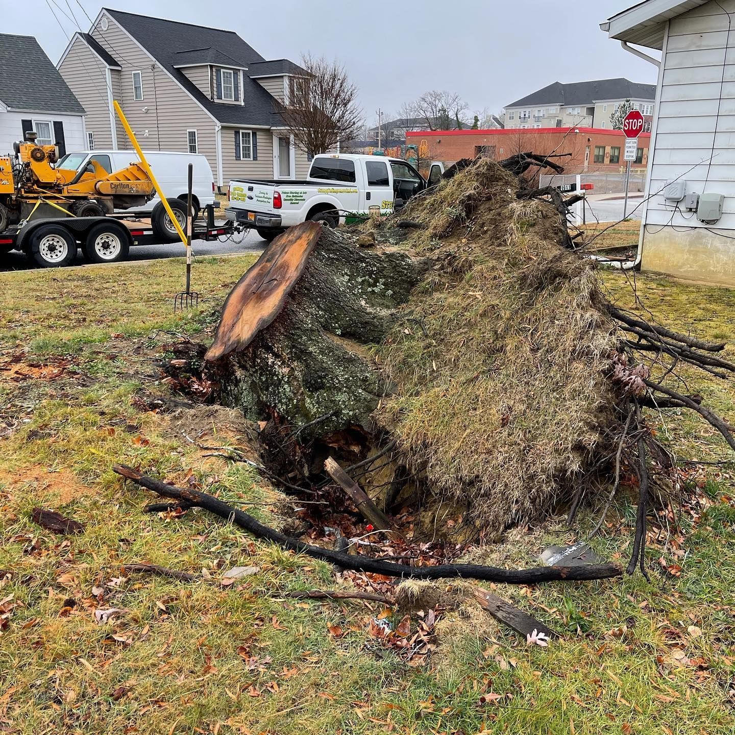 A large tree stump is sitting in the grass in front of a house.