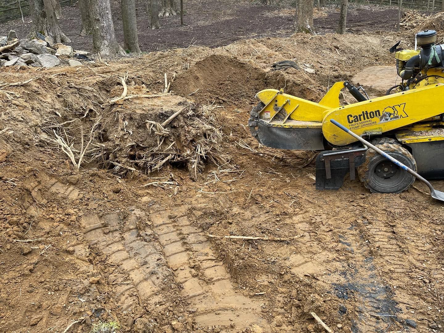 A yellow stump grinder is cutting a tree stump in the dirt.