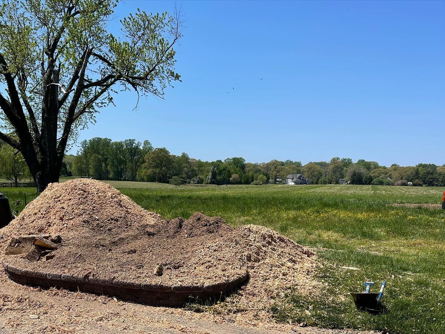 A pile of wood chips in a field with a tree in the background