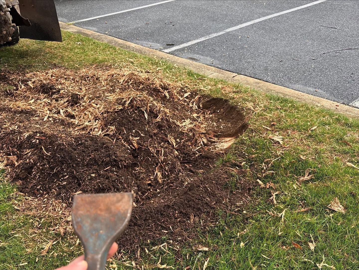 A person is holding a spatula in front of a pile of dirt.