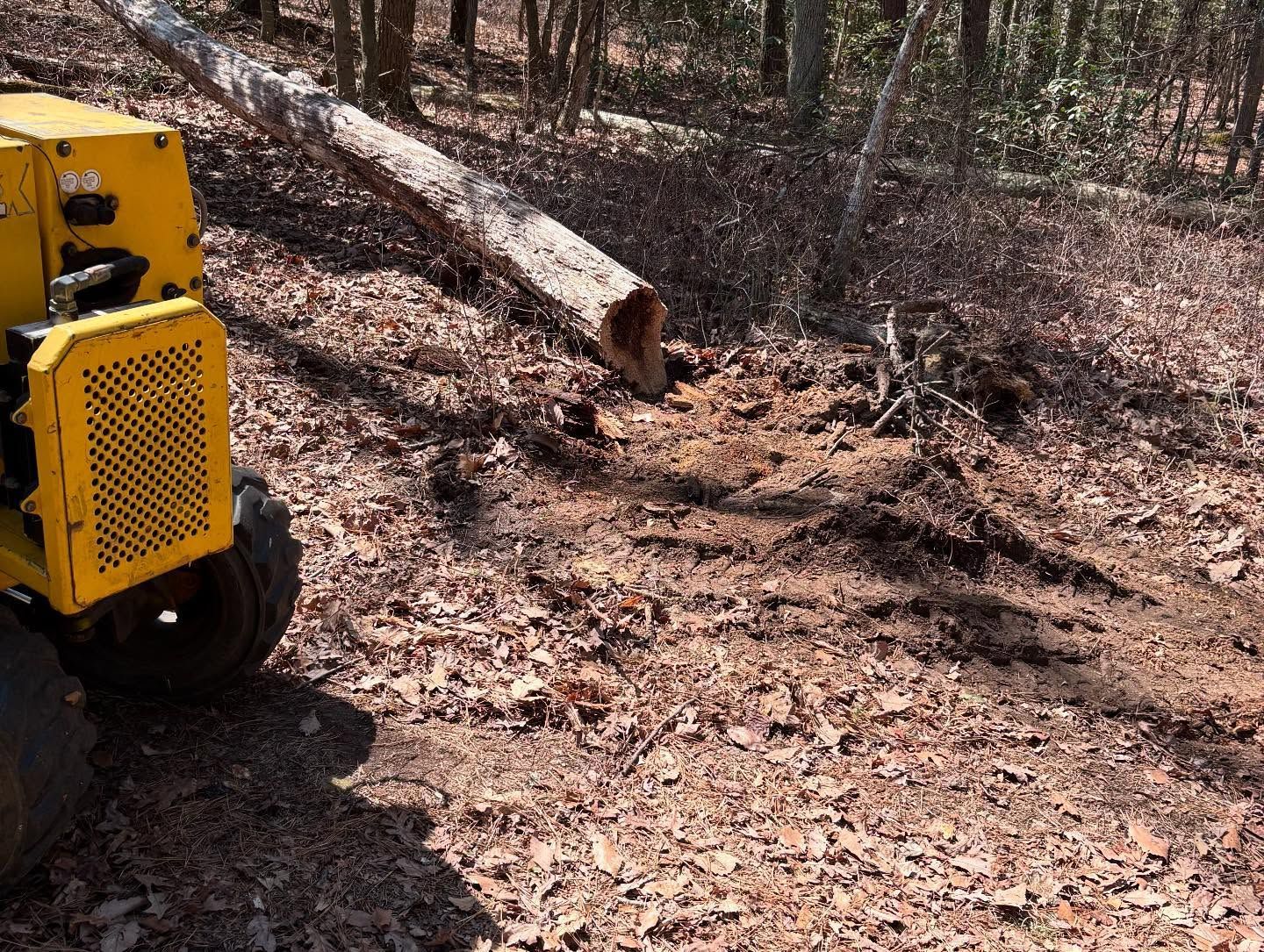A yellow tractor is cutting a tree in the woods.