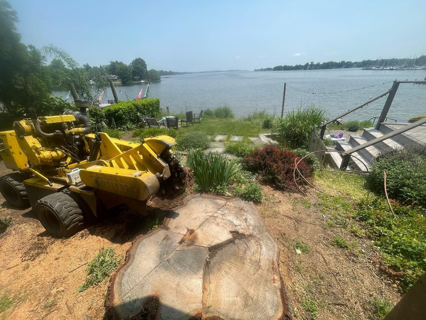 A yellow tractor is sitting next to a large tree stump in front of a body of water.