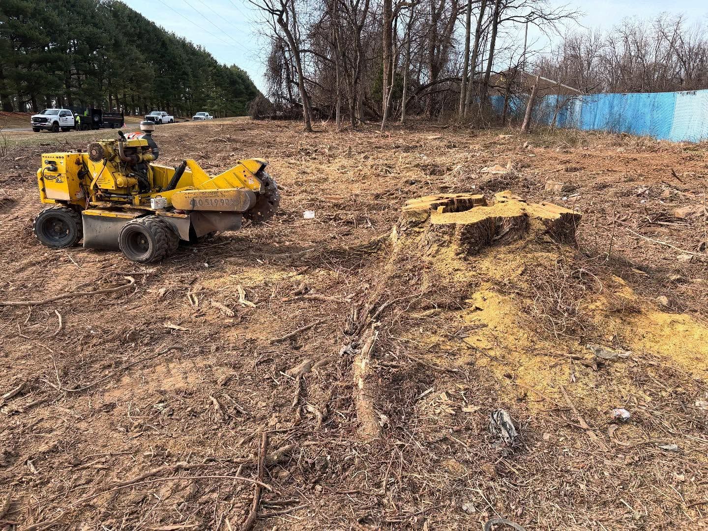 A yellow stump grinder is cutting a tree stump in a field.