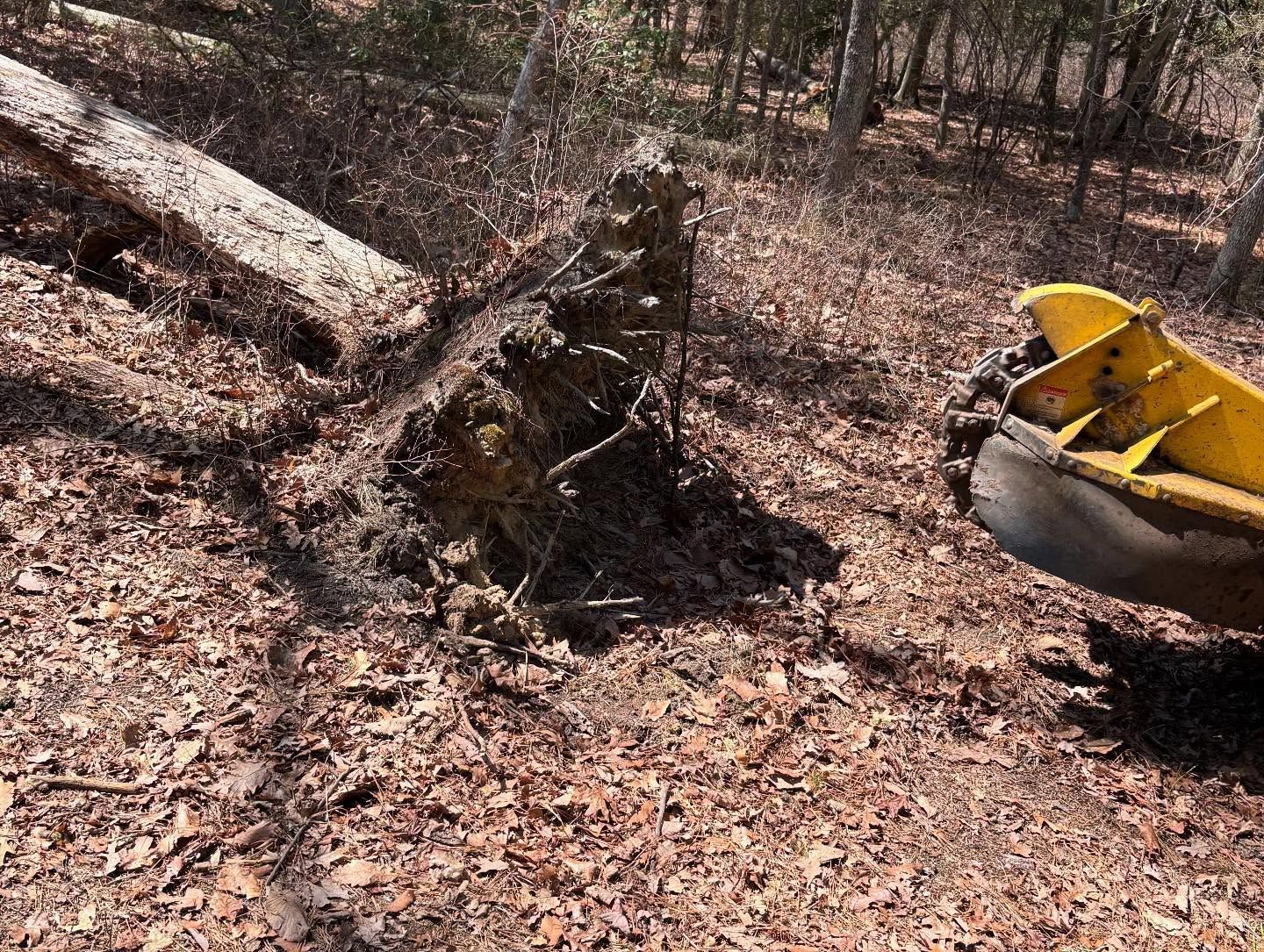 A yellow boat is sitting on top of a pile of leaves in the woods.