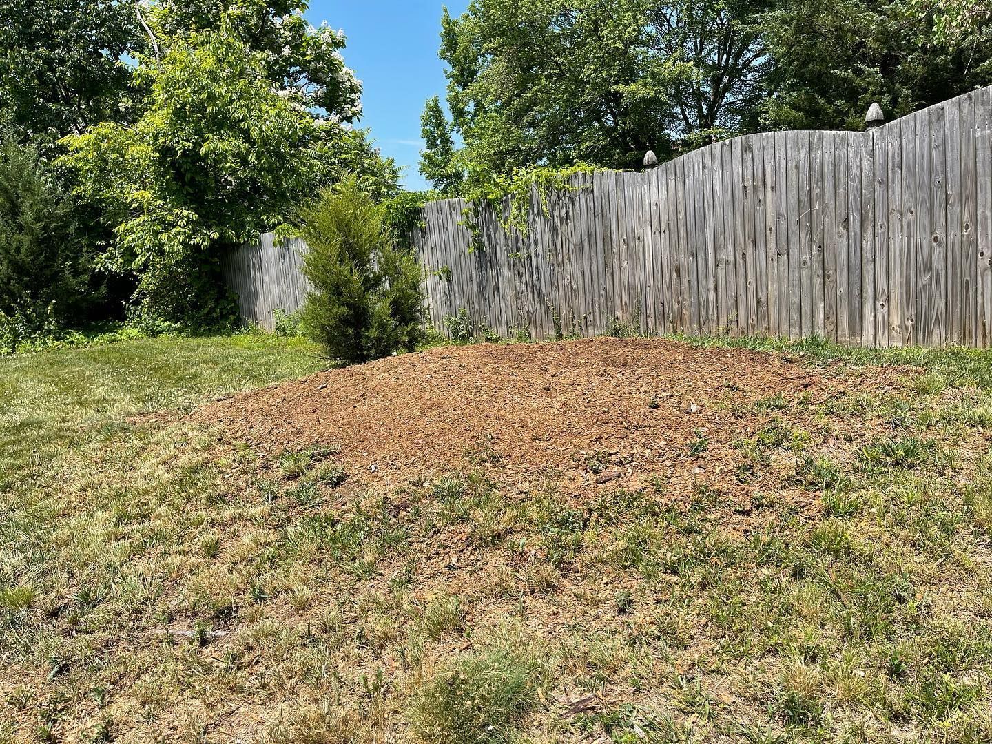 A wooden fence surrounds a grassy yard with trees in the background.