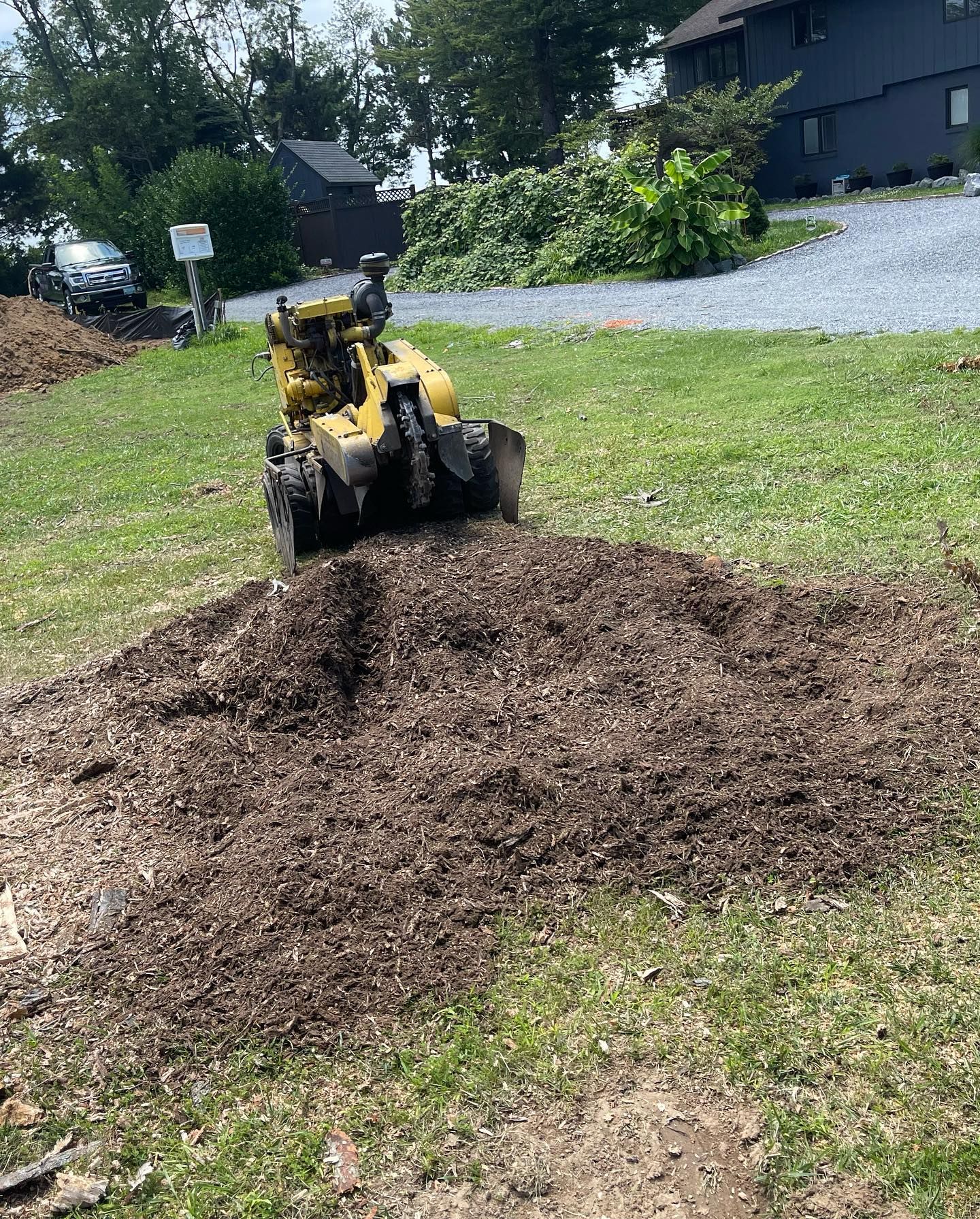 A stump grinder is cutting a tree stump in a yard.
