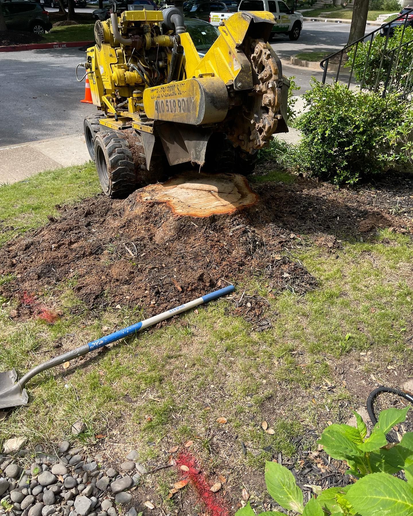 A stump grinder is cutting a tree stump in the grass.