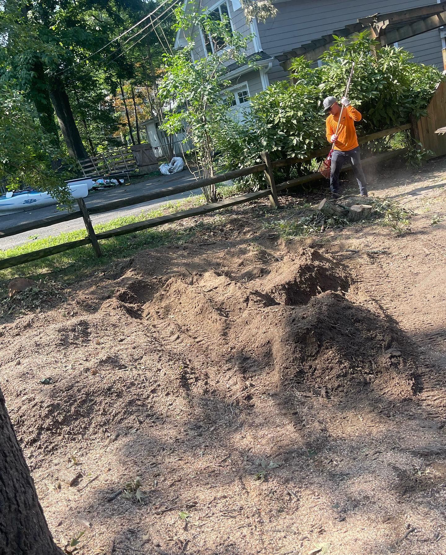 A man is standing in a dirt field next to a tree stump.